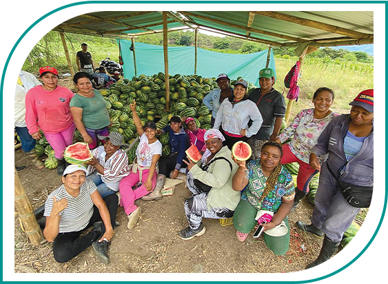 Seguridad alimentaria, paz y cohesión social