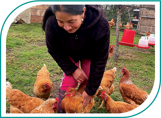 Sistema agroalimentario del Resguardo del Gran Cumbal fortalecido por las mujeres de su territorio